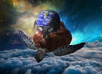 День черепахи: события 23 мая