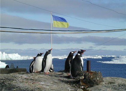 Харьковчанин-полярник – об исследовании Антарктики, юбилейной экспедиции и пингвинах (ВИДЕО)