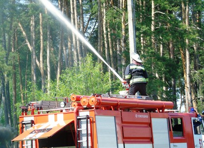Как в лесу на Харьковщине пожар тушили и людей спасали (ФОТО)