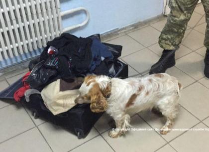 Пограничный пес Жорик вынюхал 3 килограмма наркотиков, скрытые в парафине (ВИДЕО, ФОТО)