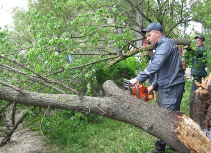 Cпасатели ликвидировали последствия урагана в Харькове