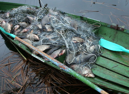 Как проходит борьба с браконьерами на харьковских водоемах (ВИДЕО)