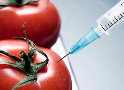 Украинским продавцам еды разрешат не сообщать о ГМО