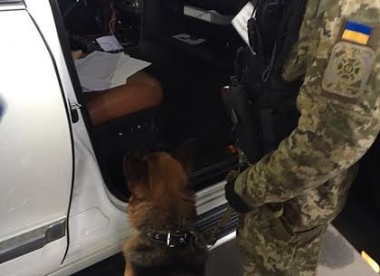 На Харьковщине служебная собака обнаружила в автомобиле патроны