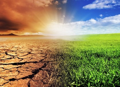 День борьбы с засухой: события 17 июня