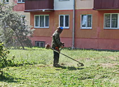 Харьковчане просят Кернеса запретить косить траву по утрам