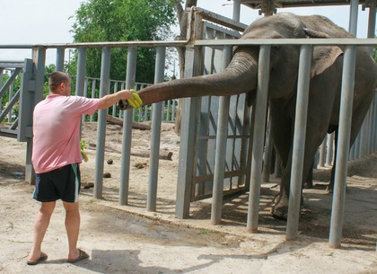 В Харьковском зоопарке прошел День слонов (ФОТО)