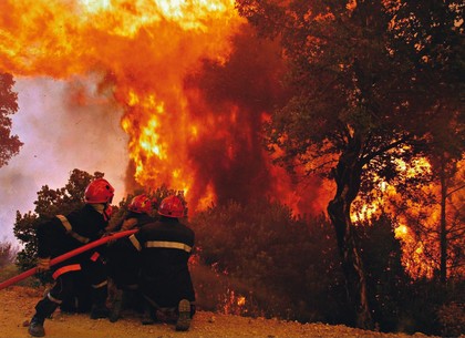 Из-за опасности пожаров на въездах в лесопосадки устанавливают шлагбаумы