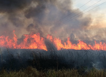 За сутки под Харьковом выгорело полтора гектара травы