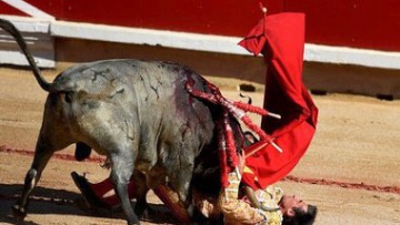 В Испании впервые за 30 лет бык убил матадора