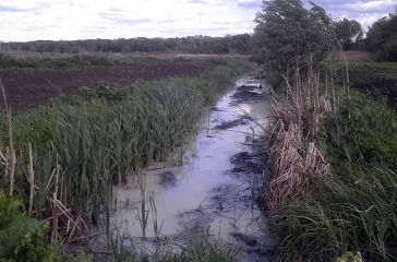 Экологи проверяют воду в реке Мерла