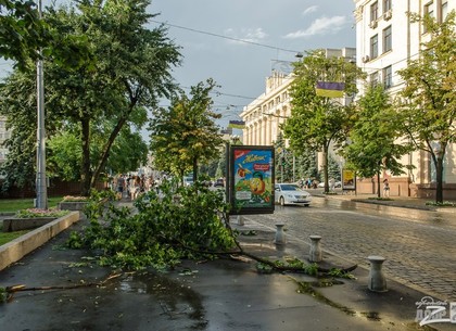 На Харьковщине последствия урагана ликвидировали пять единиц техники и 18 человек - спасатели