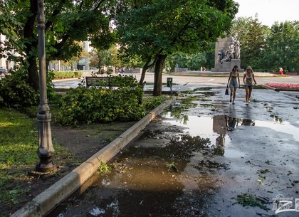 Вчера в Харькове выпало больше половины месячной нормы осадков