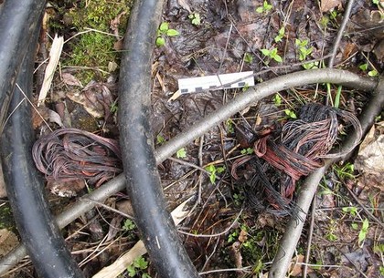 На Харьковщине задержали копателей кабеля