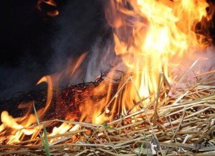 В селе на Харьковщине сгорело пять тонн сена