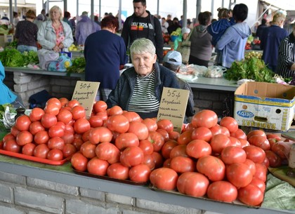 Цены на помидоры шокируют харьковчан: когда ждать удешевления (ФОТО)