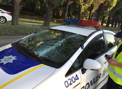 В Харькове на полицейский Prius свалились деревянные двери (ФОТО)