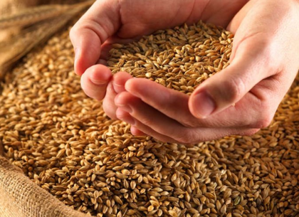 Полтора миллиона тонн зерна намолотили на Харьковщине