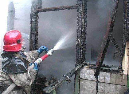 На пожаре под Харьковом хозяйке обожгло лицо