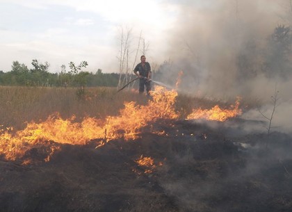 Пожарные спасли поле ячменя от огня