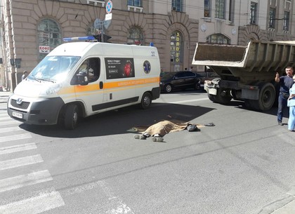На Сумской пешеход угодил под колеса грузовика (ФОТО)