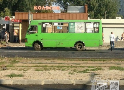 На Алексеевке под колеса маршрутки попали два пешехода (Обновлено, ФОТО)