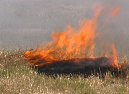 В Харьковской области горела трава