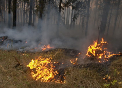 Пожароопасный Харьков: спасатели десять раз выезжали тушить траву