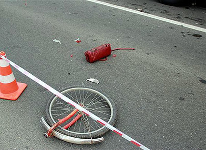 В Чугуевском районе под колеса «ГАЗа» попал велосипедист