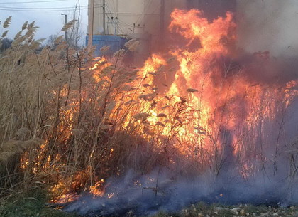 Внимание: на Харьковщине объявлен чрезвычайный уровень пожароопасности