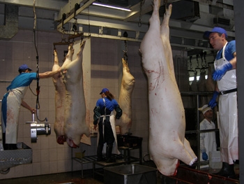 Названы производители, чью свинину пустят на рынки Харькова