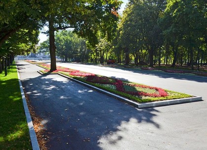 К середине октября харьковчане увидят новую центральную аллею сада Шевченко