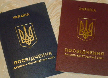 В Харькове многодетные семьи будут получать постоянные удостоверения