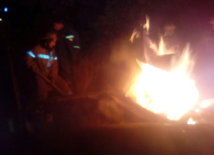 Спасатели рассказали из-за чего загорелся «Москвич», в котором погиб мужчина (ФОТО)