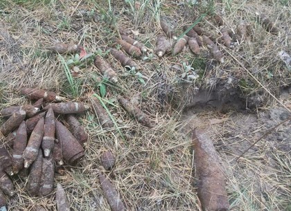 Пиротехники ГСЧС за сутки уничтожили 57 взрывоопасных предметов (ФОТО)