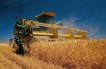 На полях Харьковщины собрано 70% урожая