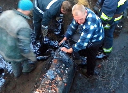 На Харьковщине мужчина упал в яму с жидкой смолой (ФОТО)
