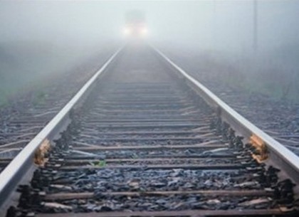 Неизвестная женщина погибла под поездом в Дергачах