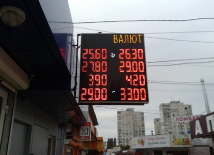 Курсы валют в Харькове и Украине на 24 октября