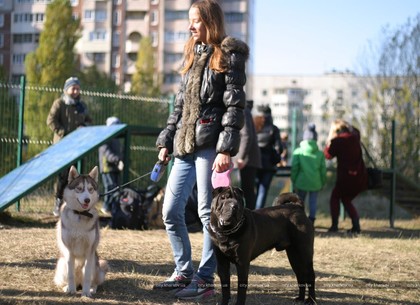 На Салтовке открыли площадку для выгула собак