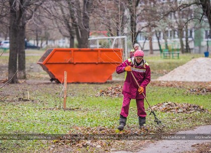 Во дворах Харькова убирают листву (ФОТО)