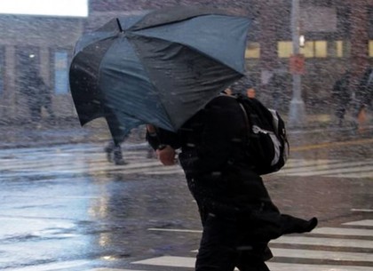 ГСЧС предупреждает о сильных дождях и порывах ветра