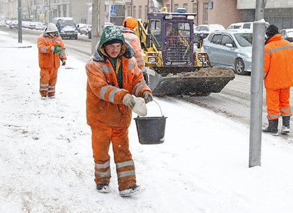 Харьковчане против того, чтобы посыпать дороги солью в зимний период