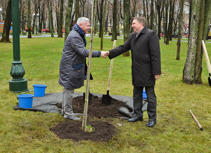 Игорь Терехов: Дерево дружбы между Харьковом и Польшей - это знак уважения к нашему партнеру