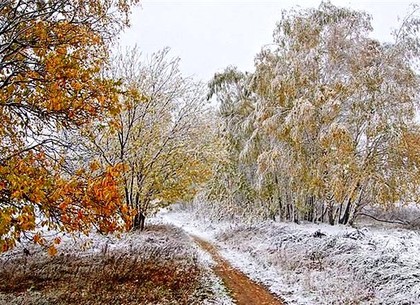 Прогноз погоды в Харькове на среду, 16 ноября