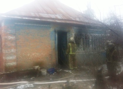 В сгоревшем дотла доме спасатели обнаружили труп хозяина (ФОТО)
