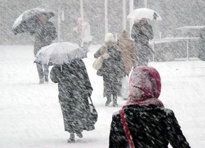 Завтра в Харькове ожидается снег