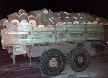 На Харьковщине задержали грузовик с незаконно вырубленной древесиной