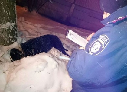 На Шишковке полицейские спасли бабушку с ребенком от агрессивной собаки (ФОТО)