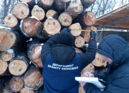 На складе лесоперерабатывающего предприятия обнаружили незаконно срубленную древесину (ФОТО)